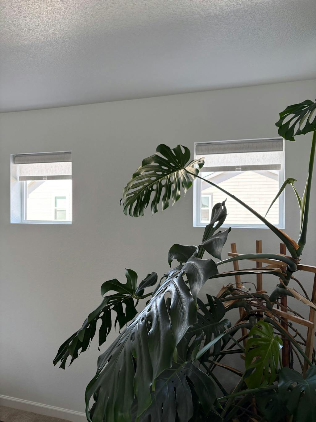 Alvin cordless roller install verified by customer (5 star)