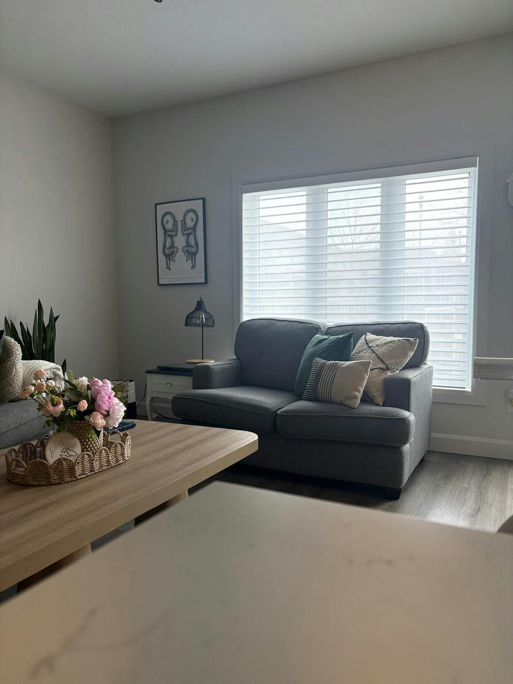 Smart Motorized Shangri-La Light Filtering Sheer Shade in customer living room (5 star verified)